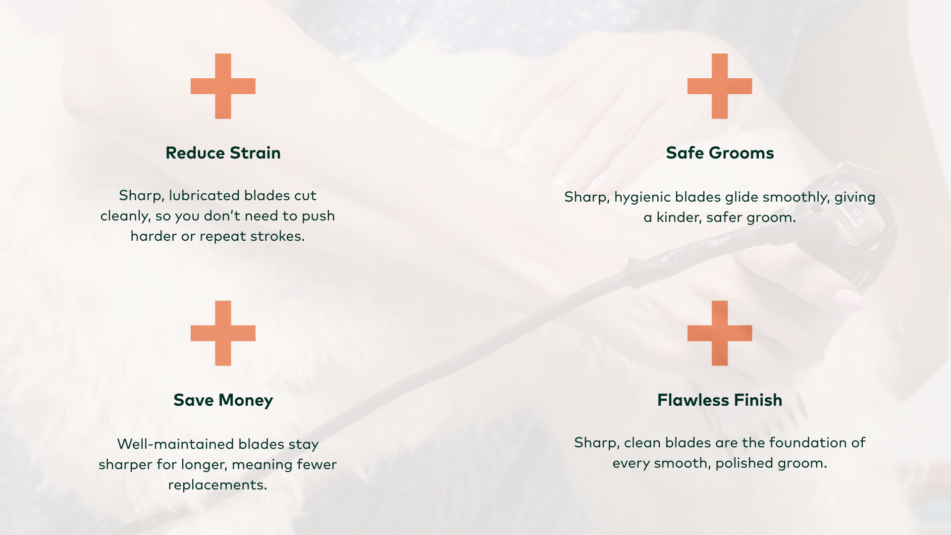 Blade maintenance product features with text on a light background