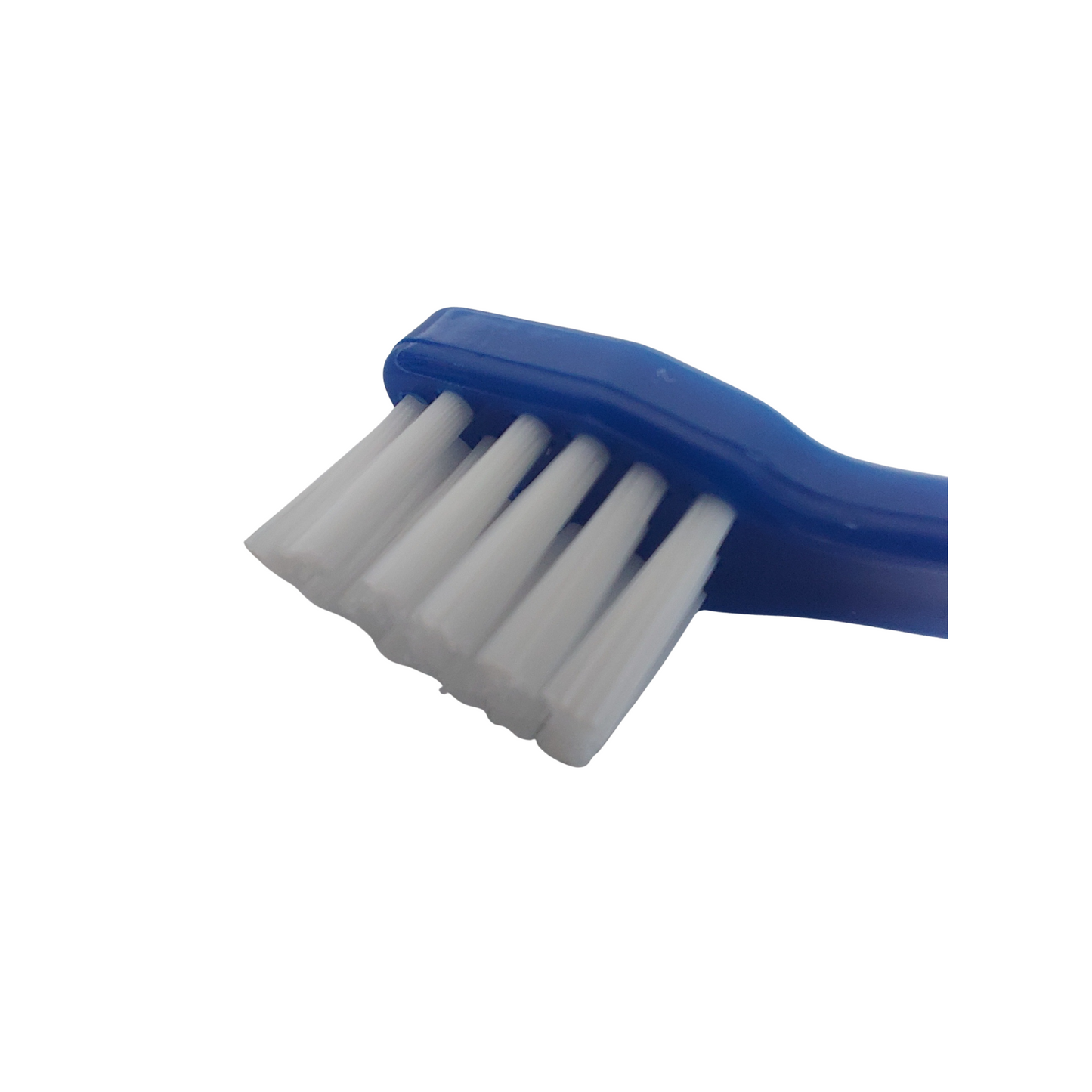 Close-up of soft bristles on a pet toothbrush, showing texture and precision tip for gentle dog dental cleaning