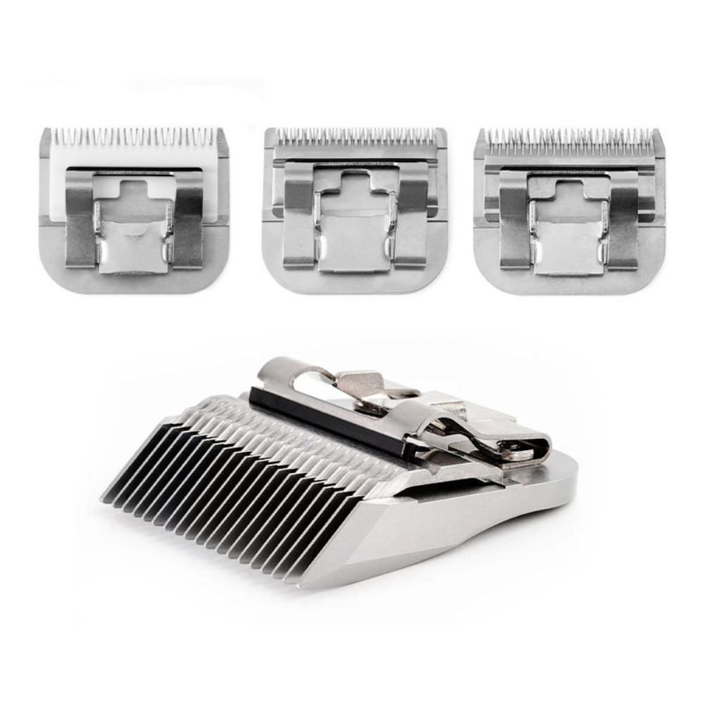 Detail view of replacement clipper blades