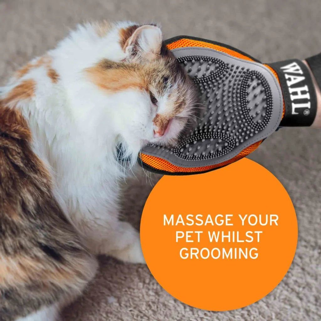 person grooming a cat using a grooming glove