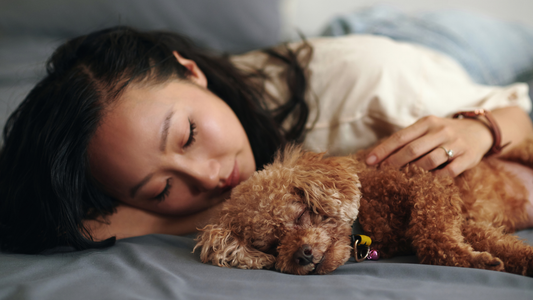 Why Your Dog Still Smells After a Bath (And How To Fix It)
