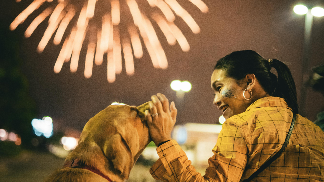 Helping Your Dog Stay Calm During Fireworks Season