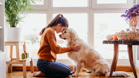 Woman touching heads with her dog enjoying a close embrace