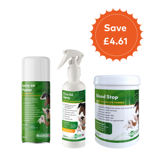 Salon First Aid Bundle: Blood Stop Powder, First Aid Spray & Spray-On Plaster