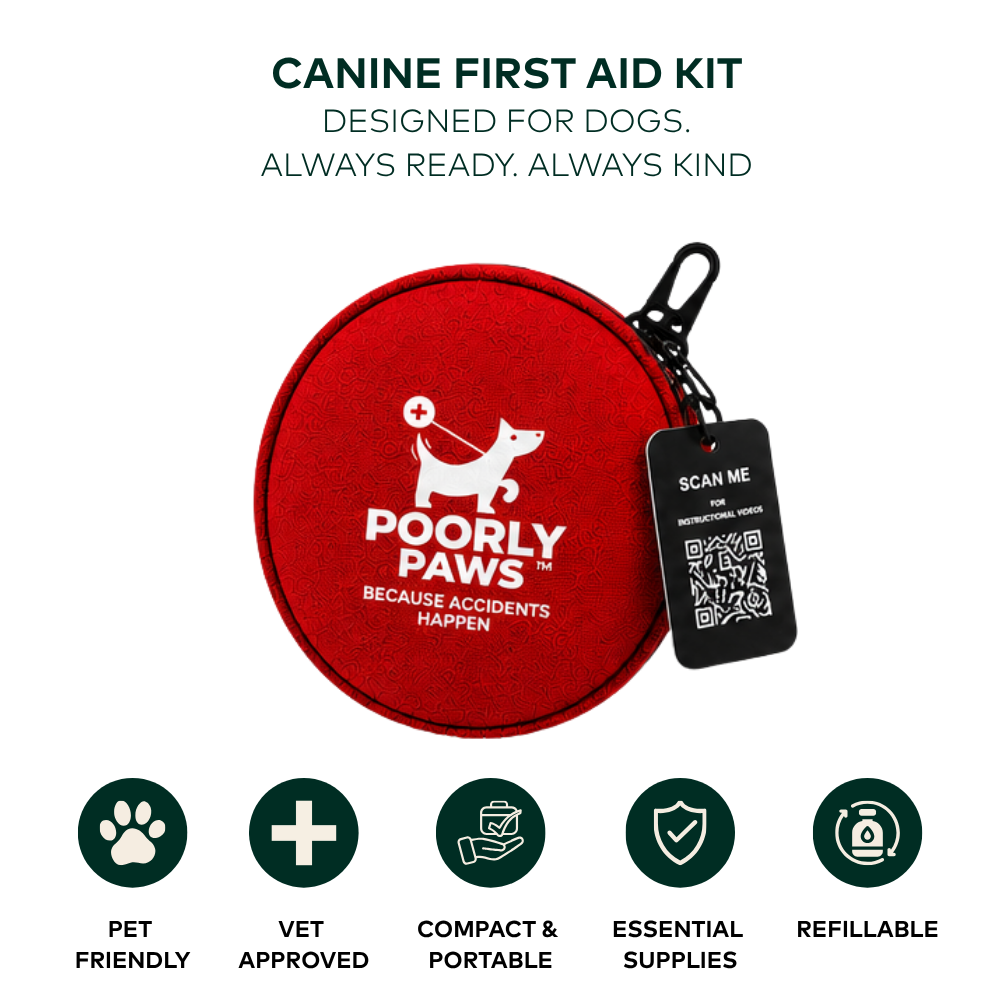 Poorly Paws Canine First Aid Kit on a white background