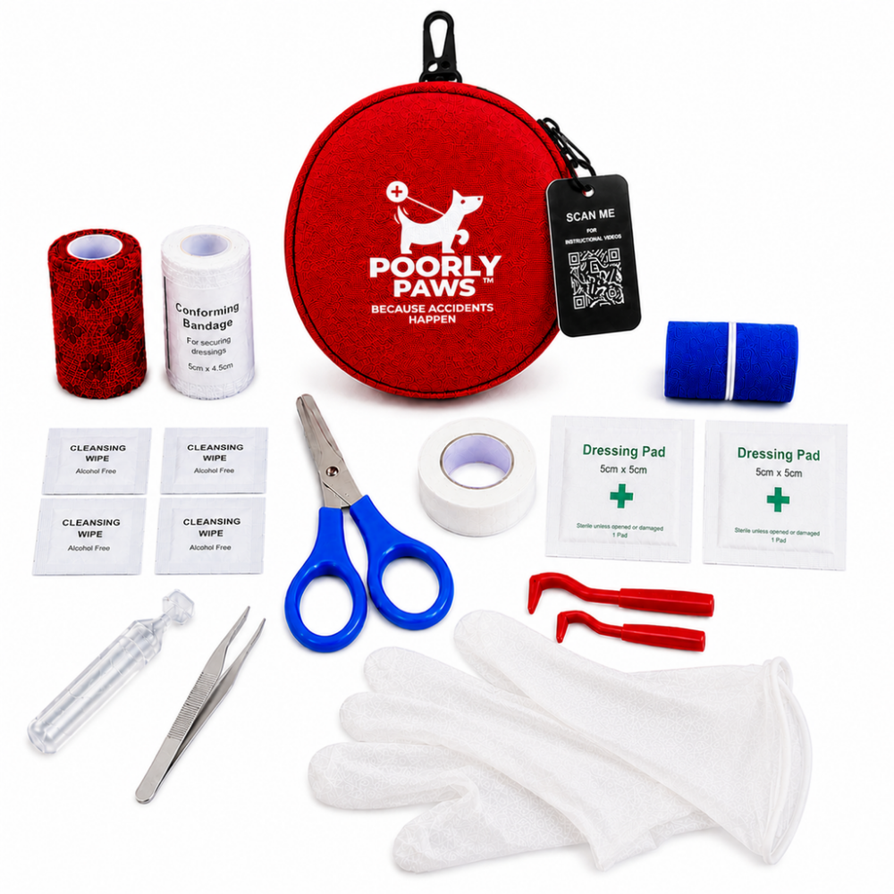 Full contents of a Poorly Paws First Aid Kit on a white background