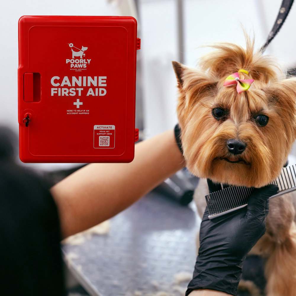 Woman working in a dog grooming salon with a Poorly Paws First Aid Cabinet in the background