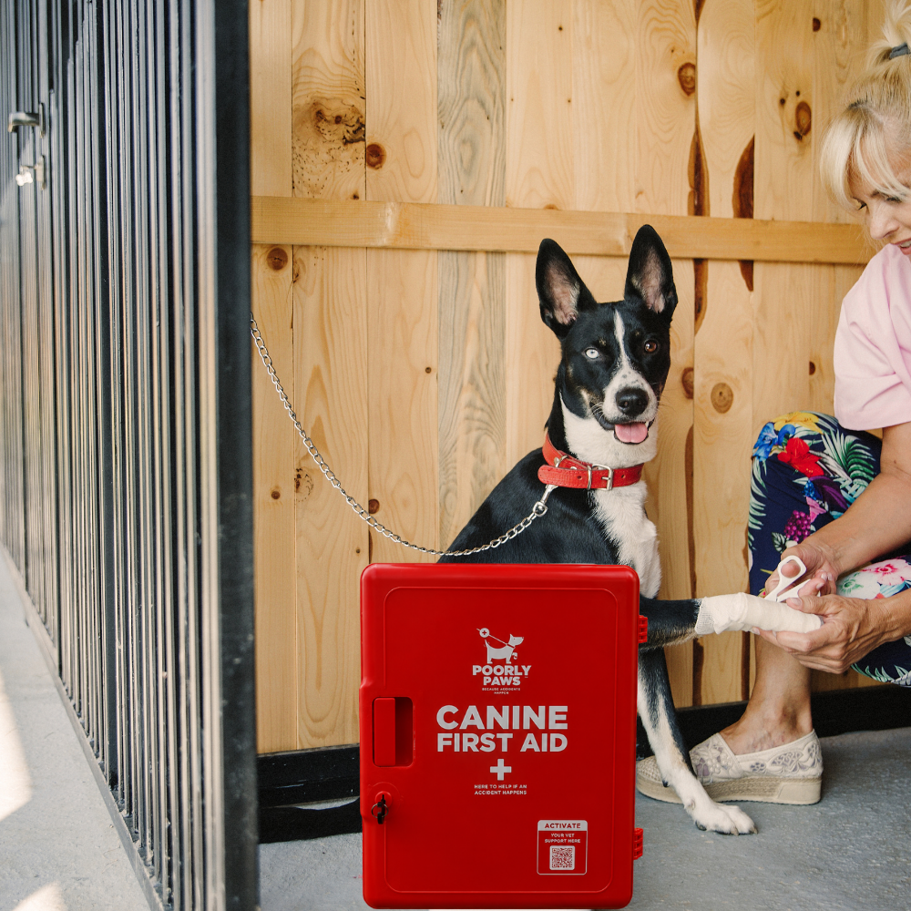 Woman using Poorly Paws First Aid Cabinet in a dog kennel