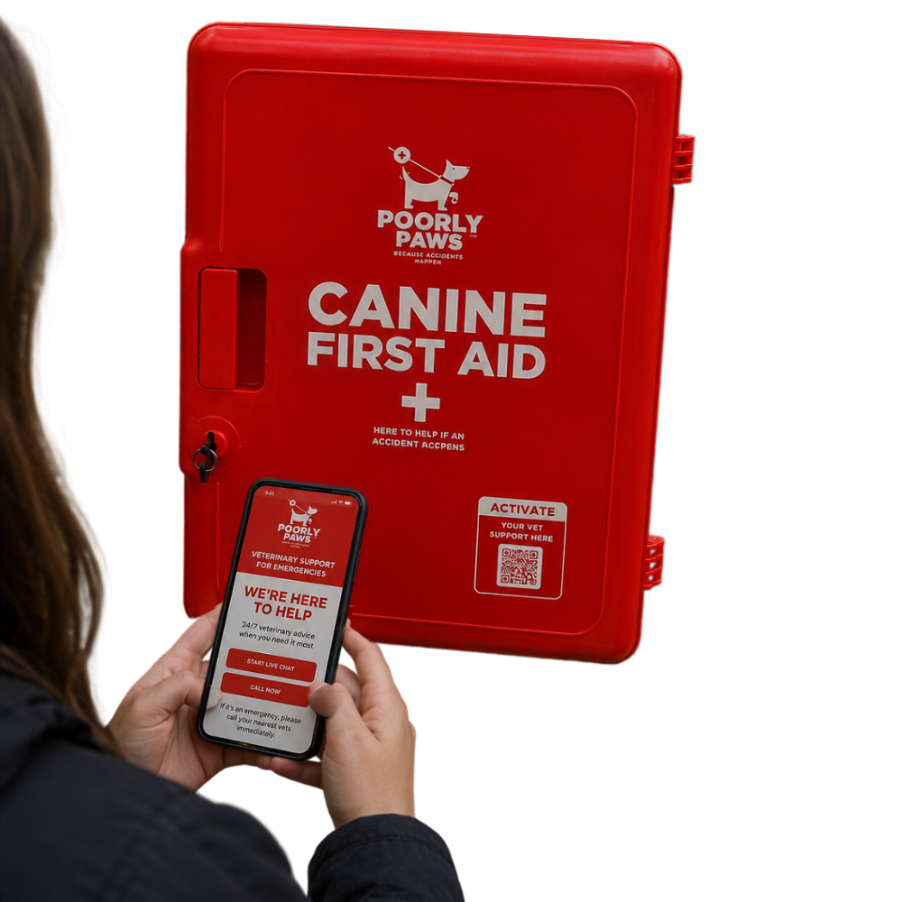 Woman access vet help using a Poorly Paws First Aid Cabinet on a white background