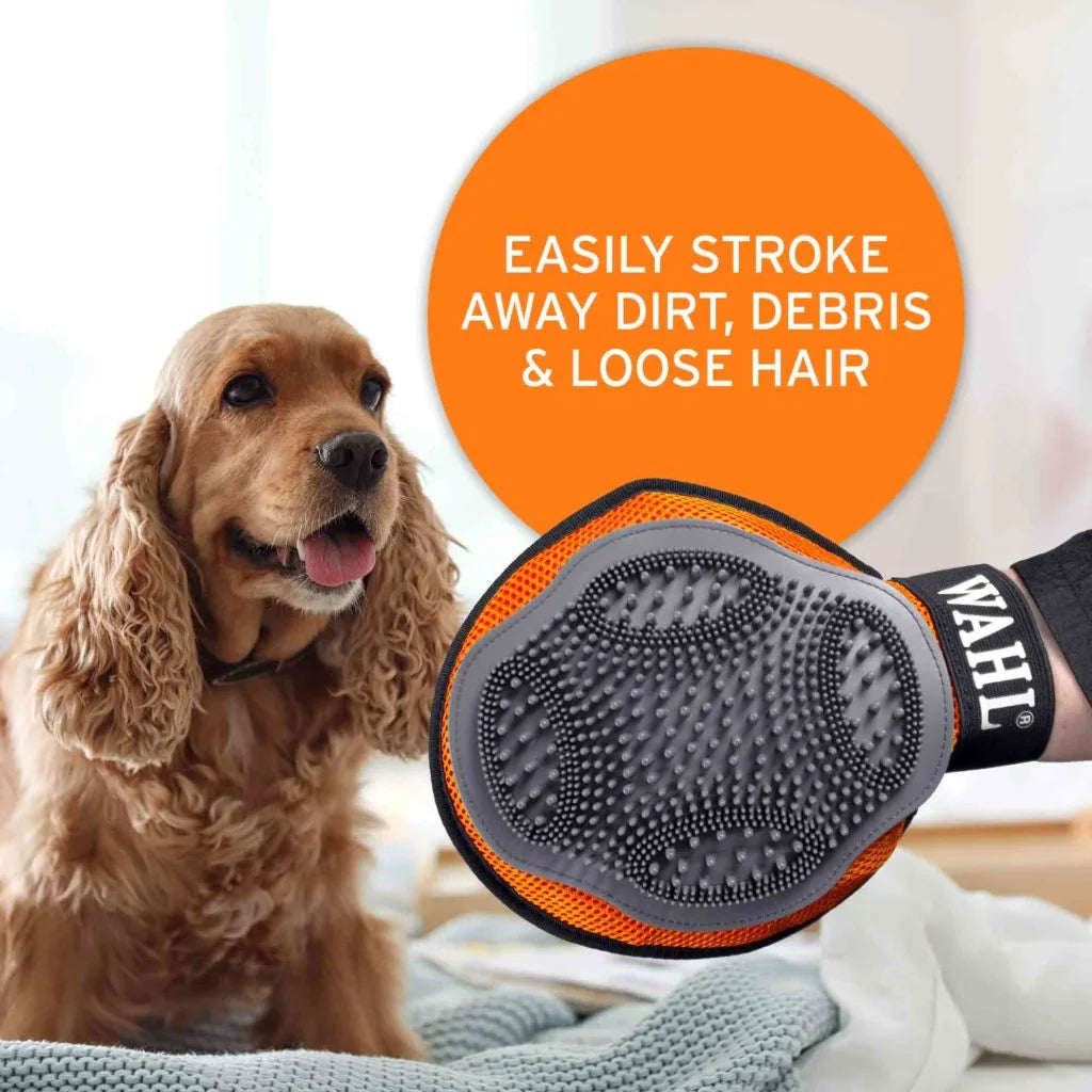 person grooming dog using a grooming glove